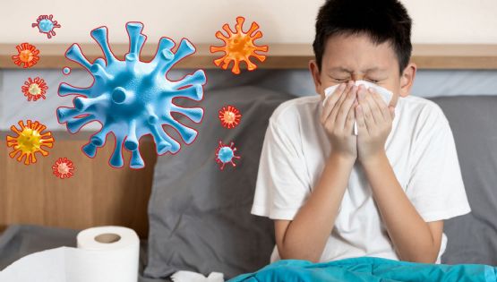 Alerta por gripe H3N2: hospitales llenos, cierres puntuales de escuelas y llamado a vacunarse