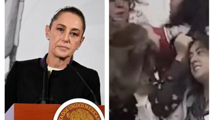 “Está mal que se llegue a este espectáculo”: Sheinbaum sobre pelea de diputadas en Congreso