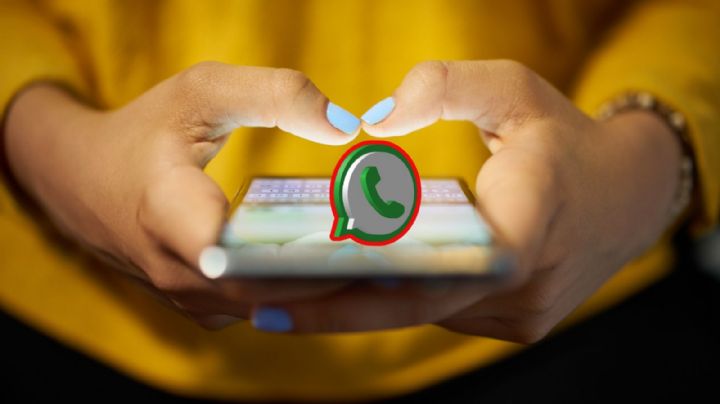 WhatsApp: configura tu privacidad para limitar quién ve tu información y tu número