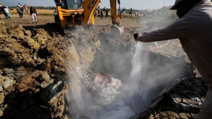 Un tren de alta velocidad mata a siete elefantes en India