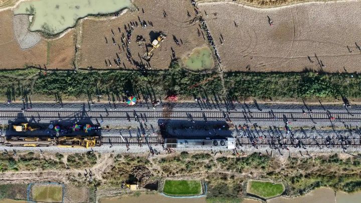 Tren de pasajeros en la India mata a siete elefantes que intentaban cruzar las vías