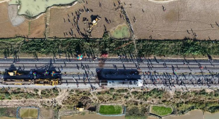 Tren de pasajeros en la India mata a siete elefantes que intentaban cruzar las vías