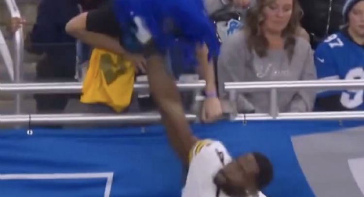 DK Metcalf de los Steelers golpea a aficionado de Lions (Video)