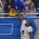 DK Metcalf de los Steelers golpea a aficionado de Lions (Video)