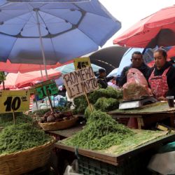 Romeritos en la CDMX: Ésta es la realidad amarga tras el sabroso platillo de Navidad