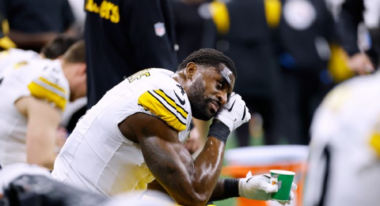 Entrenador de Steelers dice que apoya al receptor suspendido Metcalf tras altercado con fan