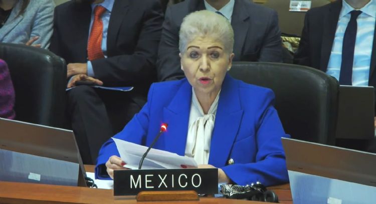 México defiende en la OEA el asilo a la exprimera ministra de Perú, Betssy Chávez