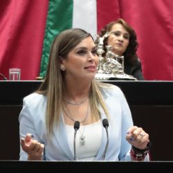 Diputada del PRI busca que niños reciban gratuitamente fórmula láctea en primeros seis meses