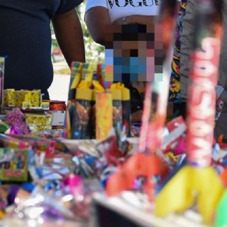 SSC pide evitar uso de pirotecnia durante fiestas de Año Nuevo para cuidado de animales de compañía