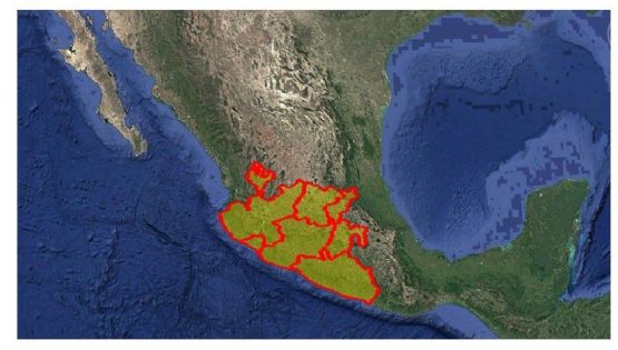 Alerta en seis estados por robo de un cilindro de gas cloro en Morelia
