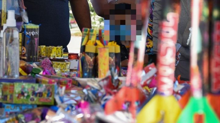 SSC pide evitar uso de pirotecnia durante fiestas de Año Nuevo para cuidado de animales de compañía