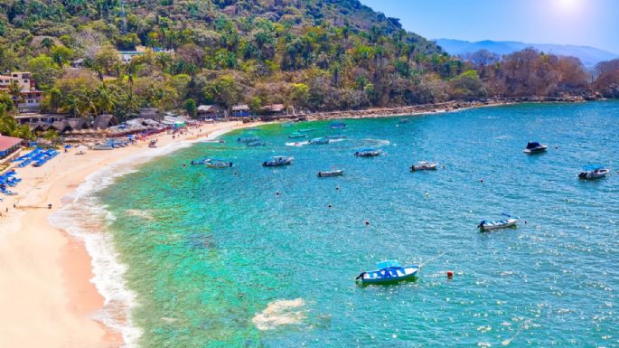 Turista extranjera muere tras choque de lancha con ballena en Puerto Vallarta