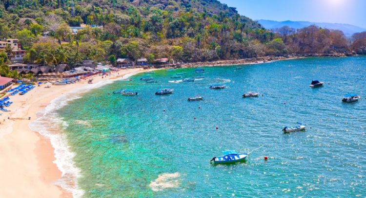 Turista extranjera muere tras choque de lancha con ballena en Puerto Vallarta
