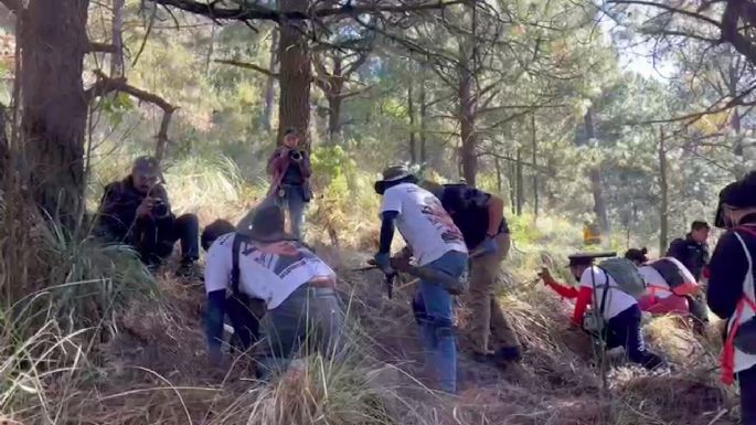 Proponen que colectivos de búsqueda sean reconocidos ante la ley