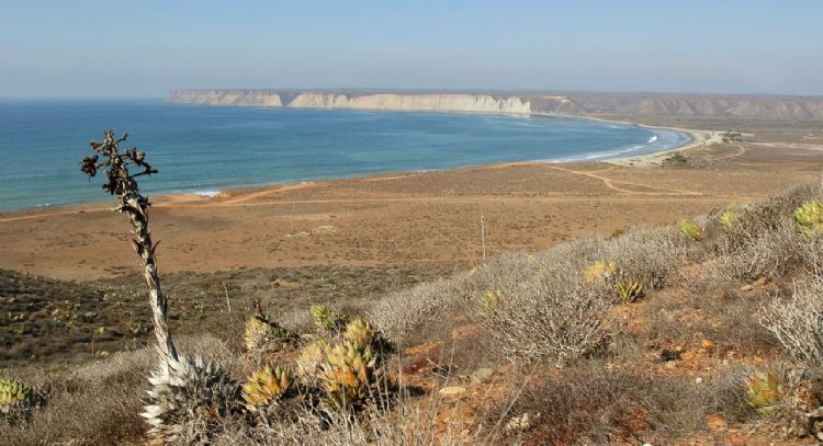 ONU alerta a Sheinbaum: Megaproyectos en Golfo de California ponen en riesgo a millones de personas
