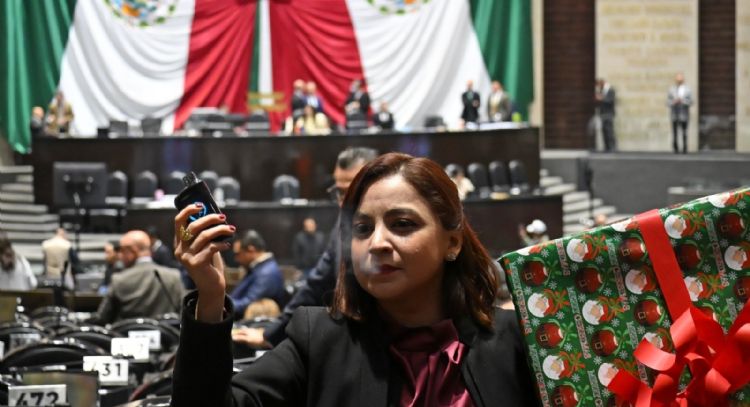 Prohibición de vapeadores, un regalo navideño de Morena para el crimen organizado: diputada