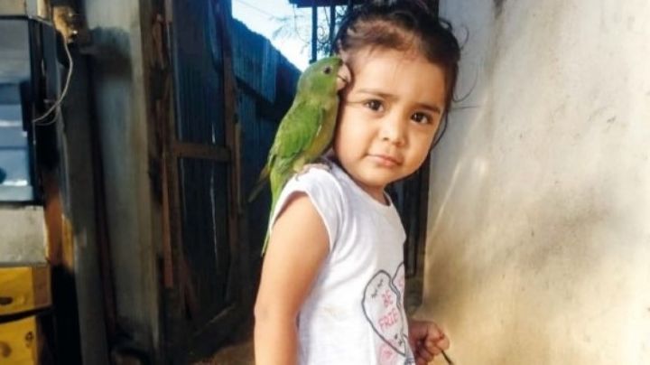 El caso de la niña Sofía y el desinterés de las autoridades por la desaparición de migrantes