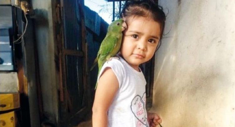 El caso de la niña Sofía y el desinterés de las autoridades por la desaparición de migrantes