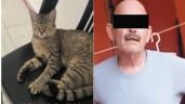 Dictan prisión preventiva a sujeto que asesinó a la gatita "Julien"