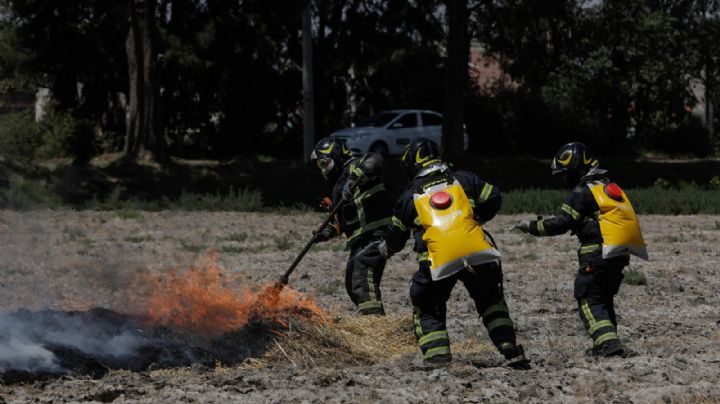 Alertan por vientos intensos este martes; riesgo de propagación de incendios en ocho entidades