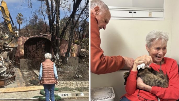 VIDEO: Increíble reunión de un gato con su dueña tras los incendios en Los Ángeles