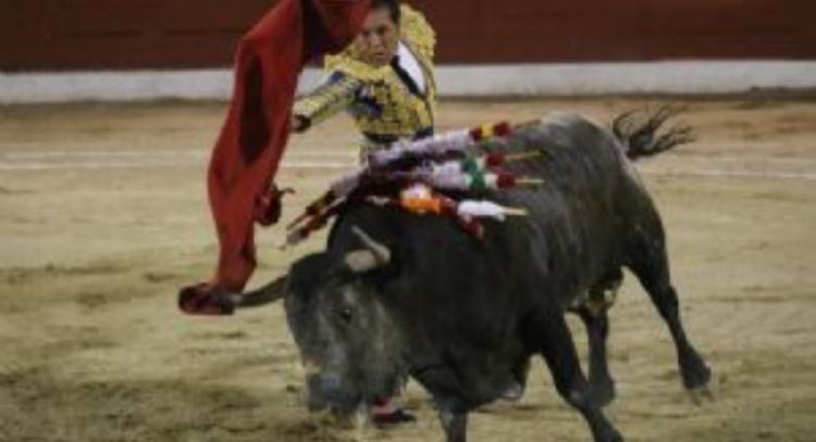 Brugada prohíbe las corridas de toros con violencia; asi son las nuevas reglas