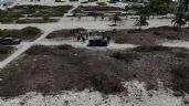 Foto ilustrativa de la nota titulada: Se detendrá a quienes talaron manglar en Sisal, Yucatán, por ser delito federal: Bárcena