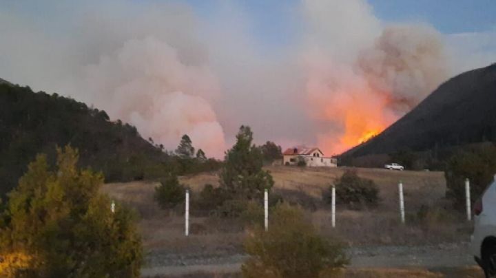 Se desata incendio en Sierra de Arteaga, Coahuila; viento impide que logre ser controlado (Videos)