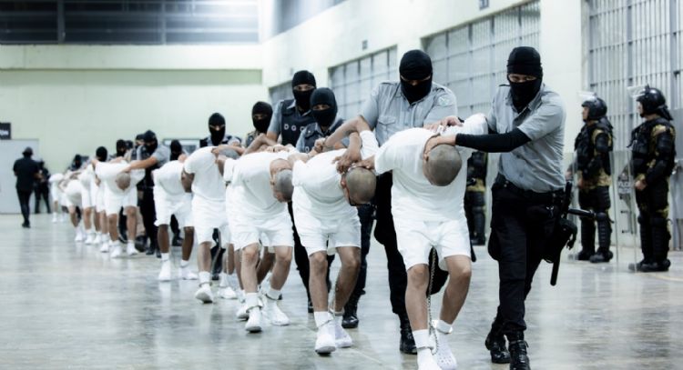 Acción militar de EU contra cárteles podría degenerar en una guerra interminable, advierten expertos