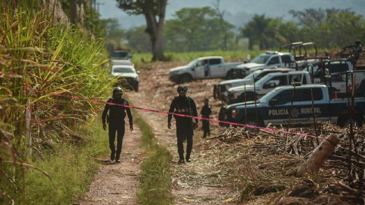 Escalada de violencia en Veracruz: Hallan a tres personas desmembradas en bolsas negras