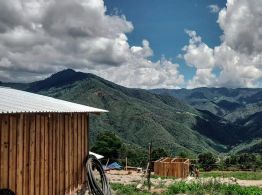 Oaxaca: Desterrados por su riqueza forestal