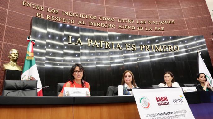 Presenta early institute prioridades de atención de la primera infancia 2024 – 2030 en el Senado de la República