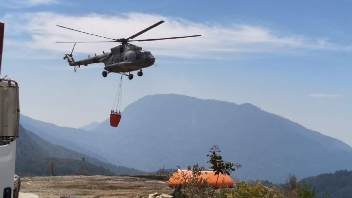 Hay 123 incendios forestales activos en México; reportan avances en Morelos, Oaxaca y Veracruz