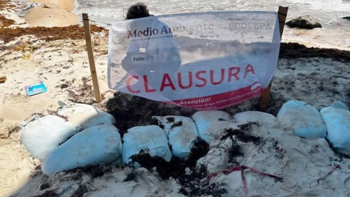Empresa ligada a la Conade viola ley ambiental para torneo de voleibol en Playa del Carmen