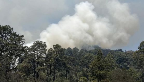 Tepoztlán: restringen acceso a áreas naturales tras incendios