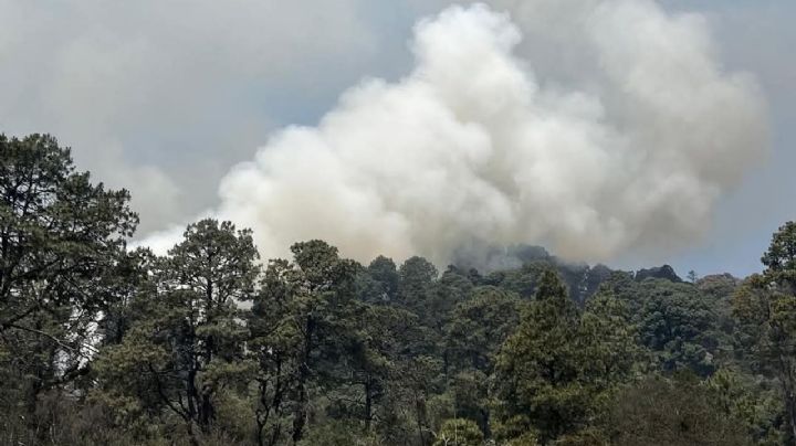 Tepoztlán: restringen acceso a áreas naturales tras incendios