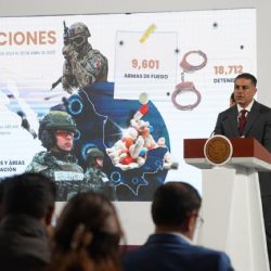 Abaten a “El Cachorro”, segundo al mando del CJNG en Chiapas