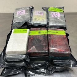 Autoridades aduaneras de EU incautan 850 mil dólares en cocaína en camioneta proveniente de México