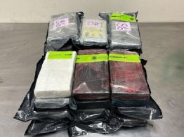 Autoridades aduaneras de EU incautan 850 mil dólares en cocaína en camioneta proveniente de México