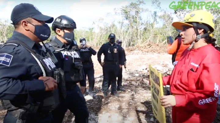 México, segundo en asesinatos de defensoras ambientales: la violencia, por megaproyectos