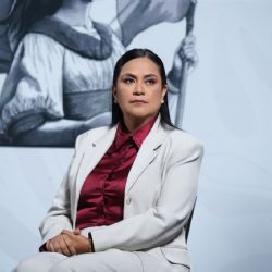 Diputados de Morena exigen destituir a Ariadna Montiel; Monreal sale en su defensa
