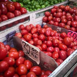 El jitomate, la vivienda y productos cosméticos disparan la inflación en Semana Santa: Inegi