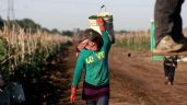 Foto ilustrativa de la nota titulada: México esquiva la recesión con alfileres en el primer trimestre de 2025: Inegi