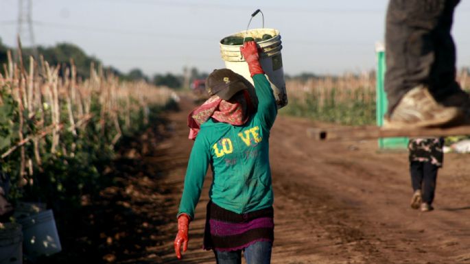 México esquiva la recesión con alfileres en el primer trimestre de 2025: Inegi