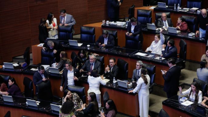 Senadores oficialistas y de MC aprueban Estrategia Nacional de Seguridad 2024-2030