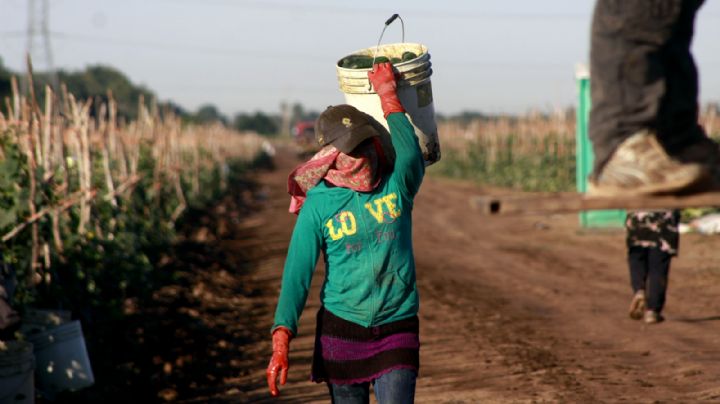 México esquiva la recesión con alfileres en el primer trimestre de 2025: Inegi