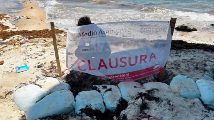 Clausuran obra ilegal en Playa del Carmen promocionada por el exbasquetbolista Eduardo Nájera