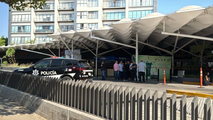 Asesinato de secretario del PRI en Jalisco refleja violencia e impunidad del país: “Alito” Moreno