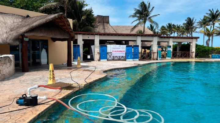 Clausura definitiva y multa millonaria al delfinario del hotel Barceló en la Riviera Maya (Video)