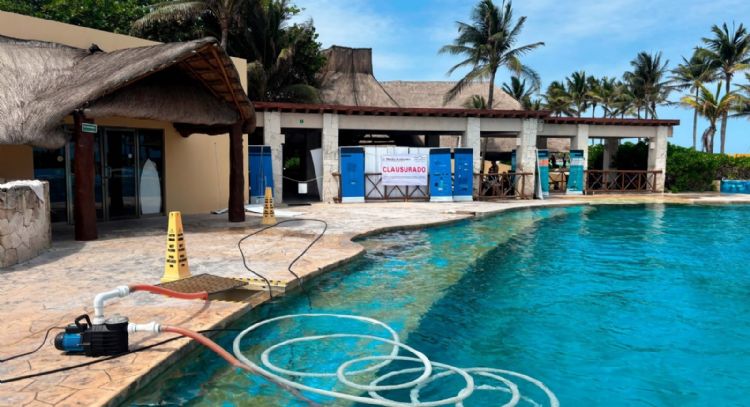 Clausura definitiva y multa millonaria al delfinario del hotel Barceló en la Riviera Maya (Video)